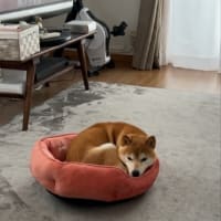 ようやく結婚