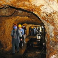  戦争遺跡「岩脇蒸気機関車避難壕（米原市）」 びわ湖鉄道歴史研究会が見学