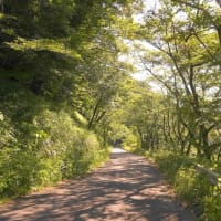 倉沢の棚田の周りを歩く