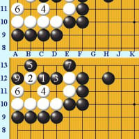 囲碁死活３６０玄玄碁経