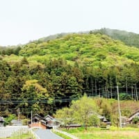 ５月４日　みどりの日　