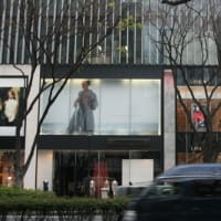 表参道続く