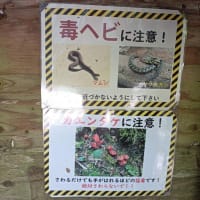 猛暑到来（756回目）