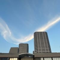 6月下旬