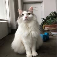 こっそり２ショット