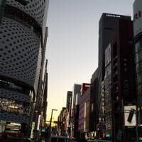 丁子の帯留