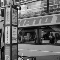 母と東京：駅弁とはとバス