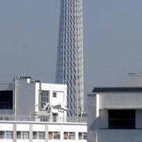 2025/6/17の朝の東京スカイツリー
