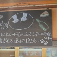 横浜弘明寺で肉汁滴るハンバーガーどうでしょう
