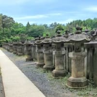 新緑の平林寺