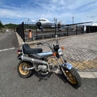 ホンダ　アメリカンダックスの実燃費