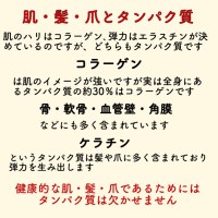 タンパク質　必須