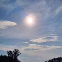 朝空