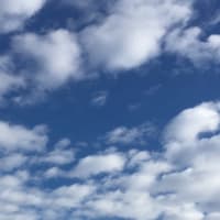「ノーベル賞への関心」