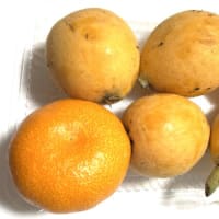6月21日（土）③