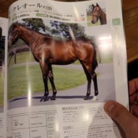 キャロットカタログ到着しました。