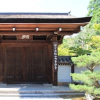 京都　青モミジ100シリーズの世界遺産 西芳寺