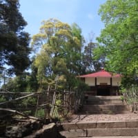 新緑の大吉山・朝日山散歩～つづいて朝日山