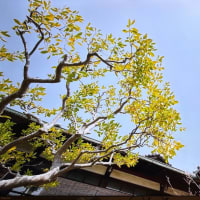 人一倍元気だった人の変化に驚く