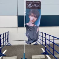 サンドイッチ弁当とINI 3RD ARENA LIVE TOUR [XQUARE]