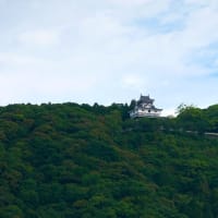 槍倒しの松