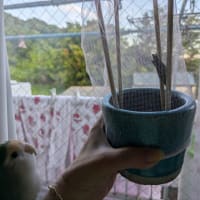 ハッキリ分かりました😌