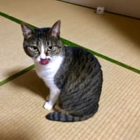 ドタバタ年末⭐︎YouTube投稿