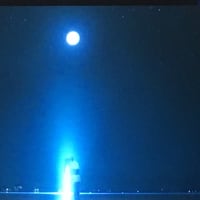 僕らの夏の夢 山下達郎 映画 サマーウォーズ エンディング曲 明日の葉っぱ 8 8 69 僕らの夏の夢 山下達郎 映画 サマーウォーズ エンディング曲 明日の葉っぱ 8 8 69