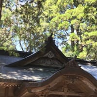 宮崎