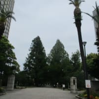広島大学・東千田キャンパスに行ってきました・・・法学部が都心回帰、学生街が復活、元気になればいいなあと思います