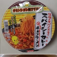 チキンラーメンどんぶり 18種のスパイス香る スパイシーカレー（日清）