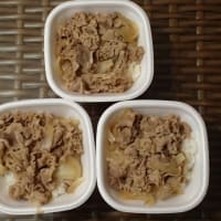 冷凍完全メシDELI10食PART5・すき家持ち帰り牛丼セール