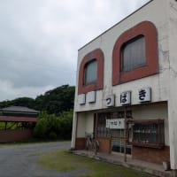7月13日寄居町玉淀・つばき