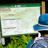 サンショウバラの湯船山に