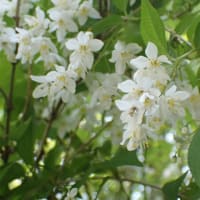 初夏の雰囲気