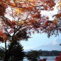 富士山眺望～2013.11