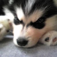 引っ越しシーズンですね