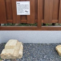 東海道53次　大津宿　東海道57次　分岐点　枚方宿　2猫食事
