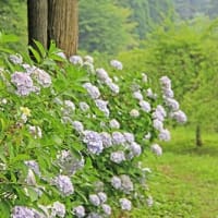 篠山囲炉裏料理 いわや