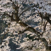 2025.4.26 地象情報・今日の空から「暫定予測、地象状況」