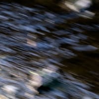 Nikon Z8 で鉄道写真を撮る　大三元【70-200】を使ってみた