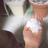雪が降る