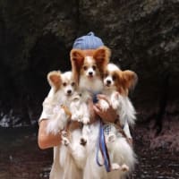 みいちゃん　空斗　海斗　とのお別れ