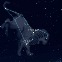 ６月17日火曜日　真夏日❗
