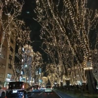 仙台 光のページェント
