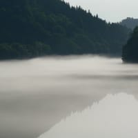 霧