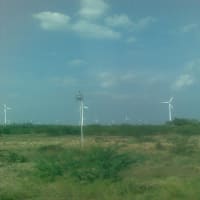 インド　タミールナドゥ州の風力発電
