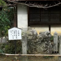 06/22奈良京都への旅-10（明日香村⑤：橘寺訪問、）