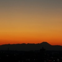 お正月　2020