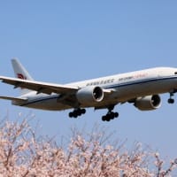 おっさんの一人旅？桜とあれを撮りに